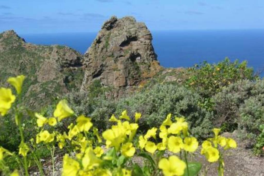 House Rural,Biosphere Reserve World.Taganana.Tfe. Santa Cruz de Tenerife Kültér fotó
